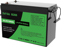 DATOUBOSS Rechargeable Lifepo4 Batteries Voltage Converters Inverter